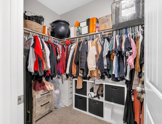 walk in closet featuring carpet floors