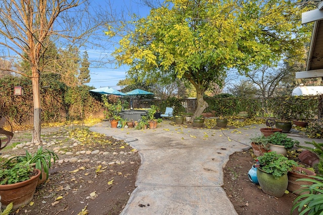 view of yard featuring a patio area