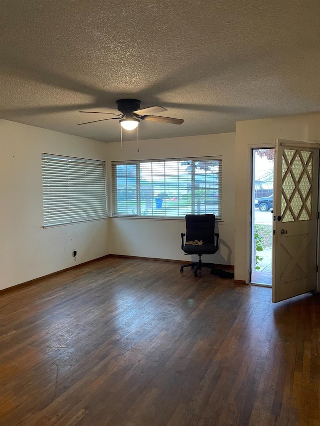 foyer featuring dark hardwood / wood-style floors, a textured ceiling, and a wealth of natural light