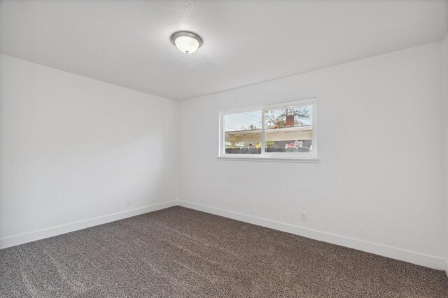 empty room featuring carpet