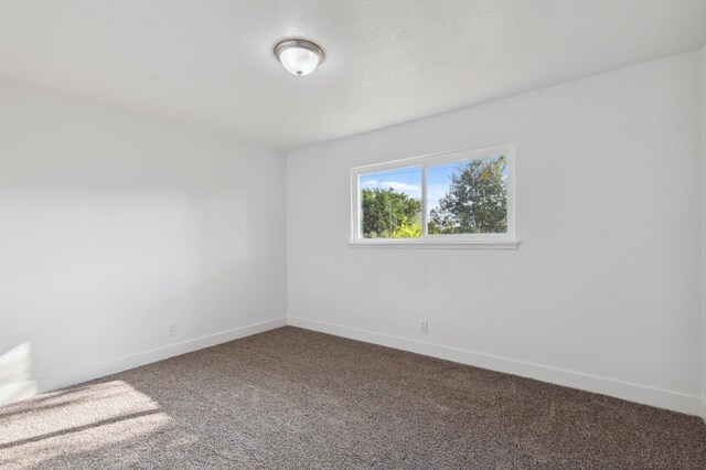 empty room featuring carpet floors