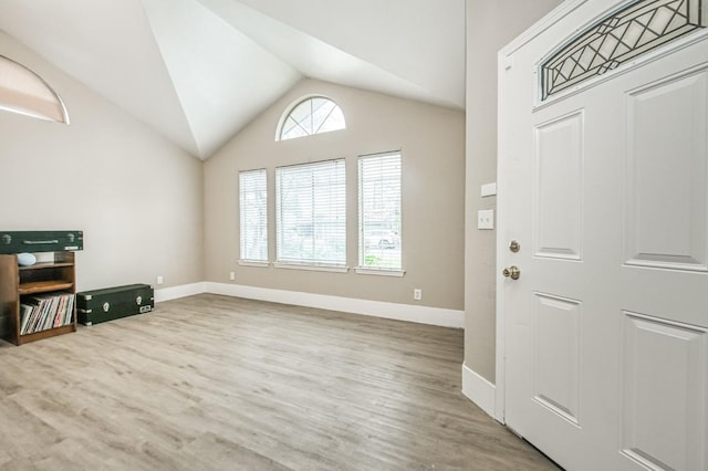 entryway featuring wood-type flooring and lofted ceiling