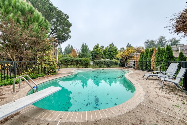 view of pool with a diving board and a patio