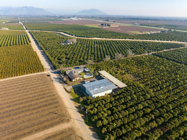 birds eye view of property with a mountain view and a rural view