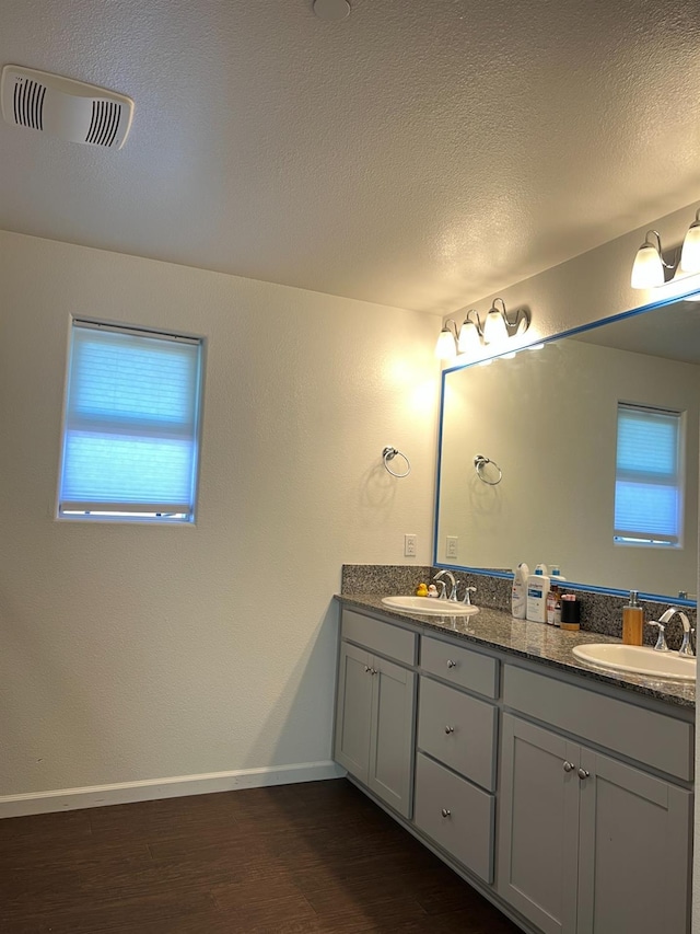 bathroom with vanity, hardwood / wood-style flooring, and a healthy amount of sunlight