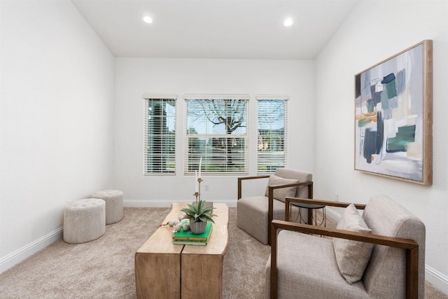 living area with carpet