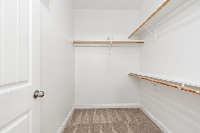 walk in closet featuring carpet floors