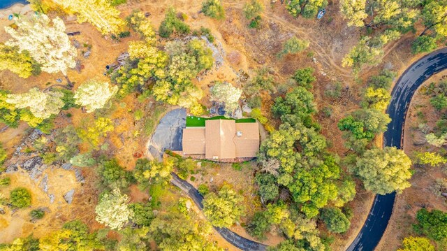 50365 Spook Ln, Oakhurst, CA 93644 - aerial view