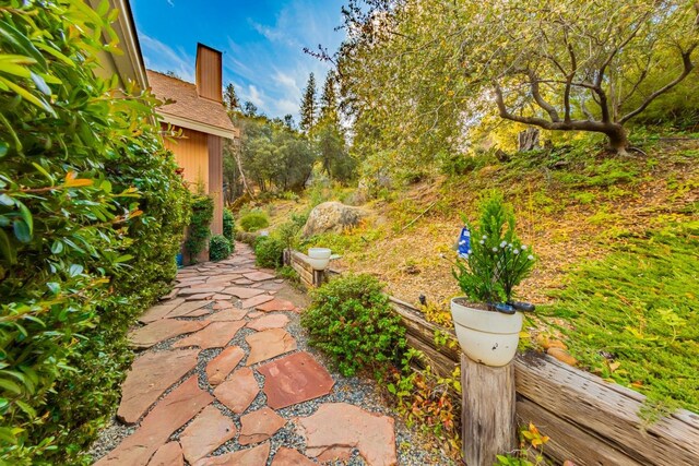 50365 Spook Ln, Oakhurst, CA 93644 - view of yard