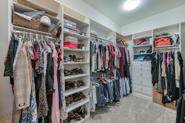 spacious closet with light colored carpet