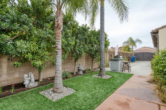 view of yard featuring a patio area