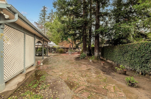 view of yard with a patio and a fenced backyard