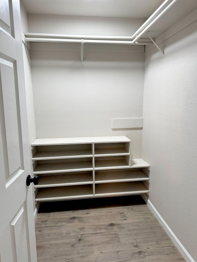 spacious closet featuring wood finished floors