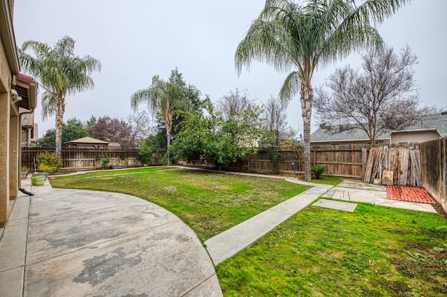 view of yard featuring a patio