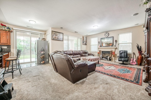 carpeted living room with a textured ceiling and a wealth of natural light