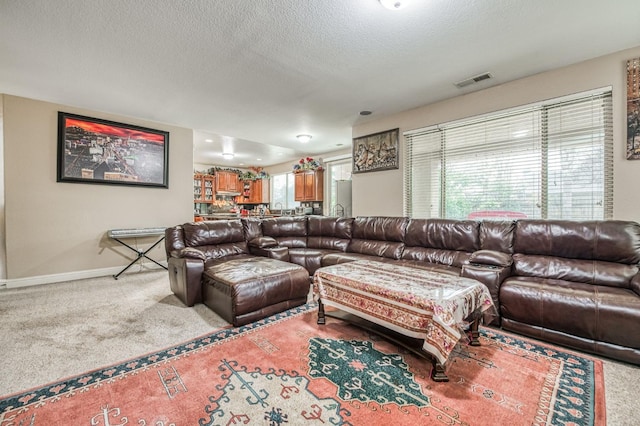 living room with light carpet, a textured ceiling, and a wealth of natural light