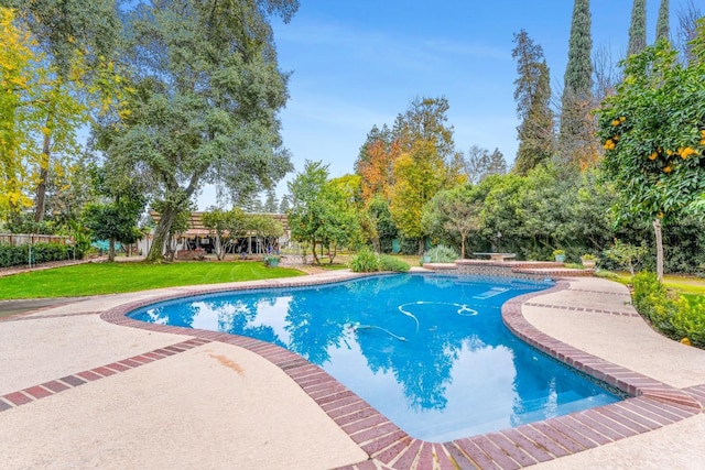 view of swimming pool featuring a patio area and a yard