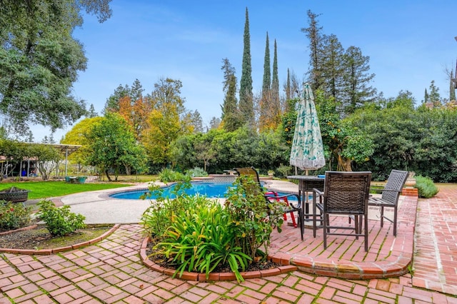 view of pool with a patio