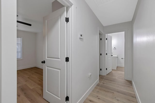 corridor featuring light hardwood / wood-style floors