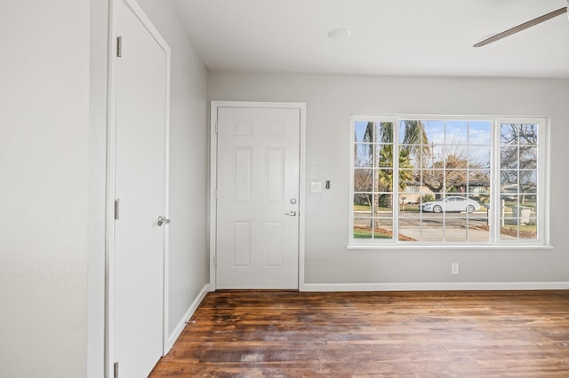 entrance foyer featuring ceiling fan and dark hardwood / wood-style flooring