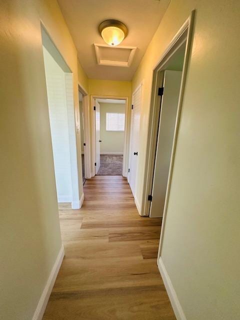 975 N Princeton Ave, Coalinga, CA 93210 - corridor with light hardwood / wood-style floors