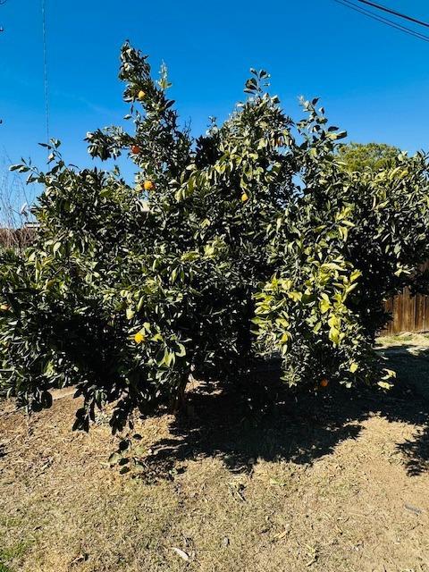975 N Princeton Ave, Coalinga, CA 93210 - view of landscape