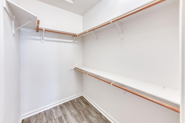 spacious closet with hardwood / wood-style floors