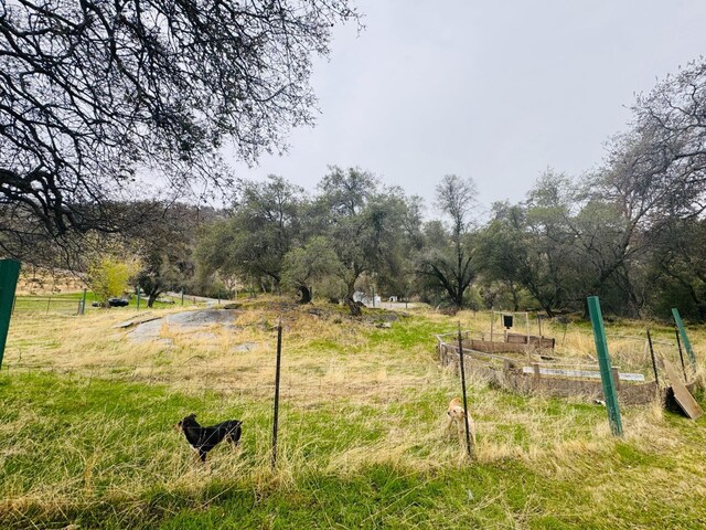 view of yard featuring a rural view