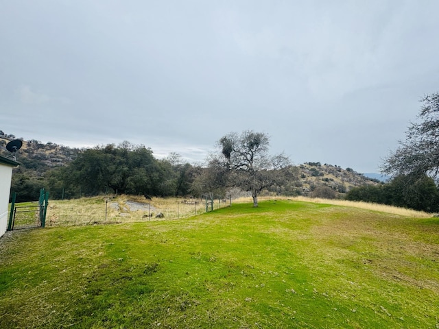 view of yard with a mountain view and a rural view