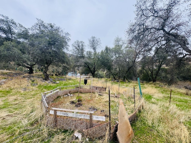 view of yard with a rural view