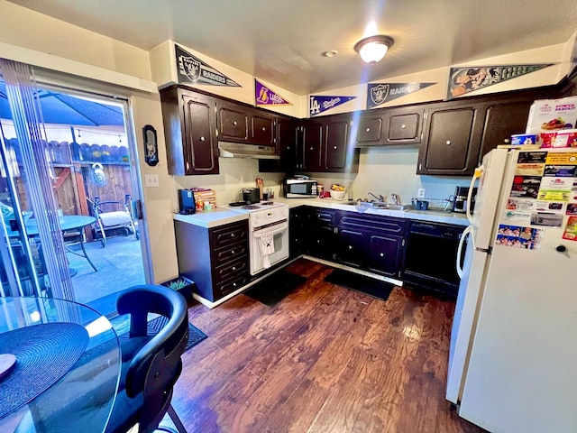 kitchen featuring dark hardwood / wood-style flooring, sink, white appliances, and dark brown cabinetry