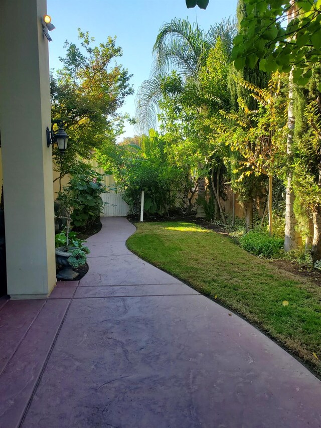 view of yard featuring a patio area