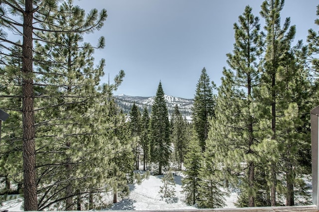 snowy view featuring a mountain view