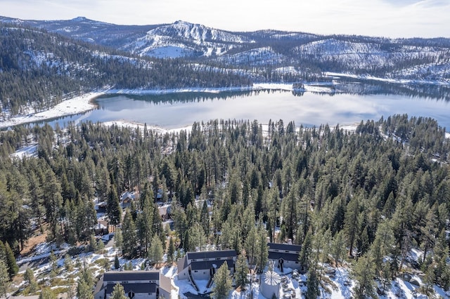 snowy aerial view featuring a water and mountain view