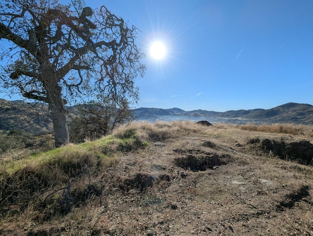 293 Deerbrook Ln, Squaw Valley CA, 93675 land for sale