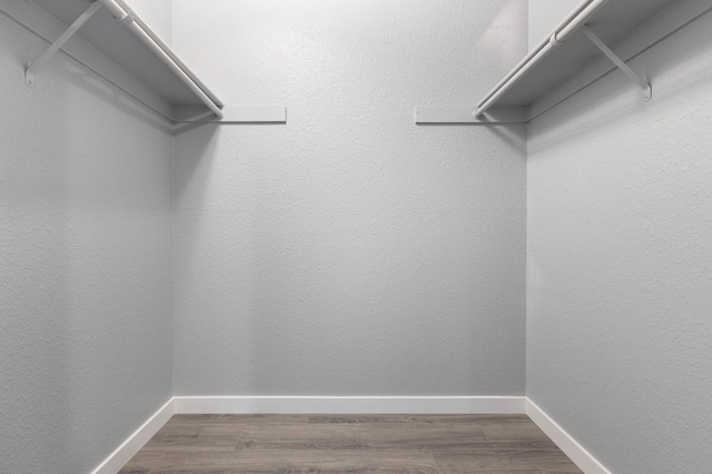 spacious closet with hardwood / wood-style flooring