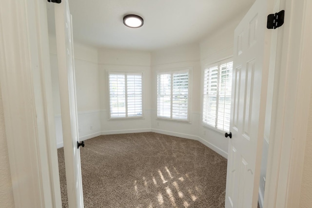 empty room with carpet floors and a healthy amount of sunlight