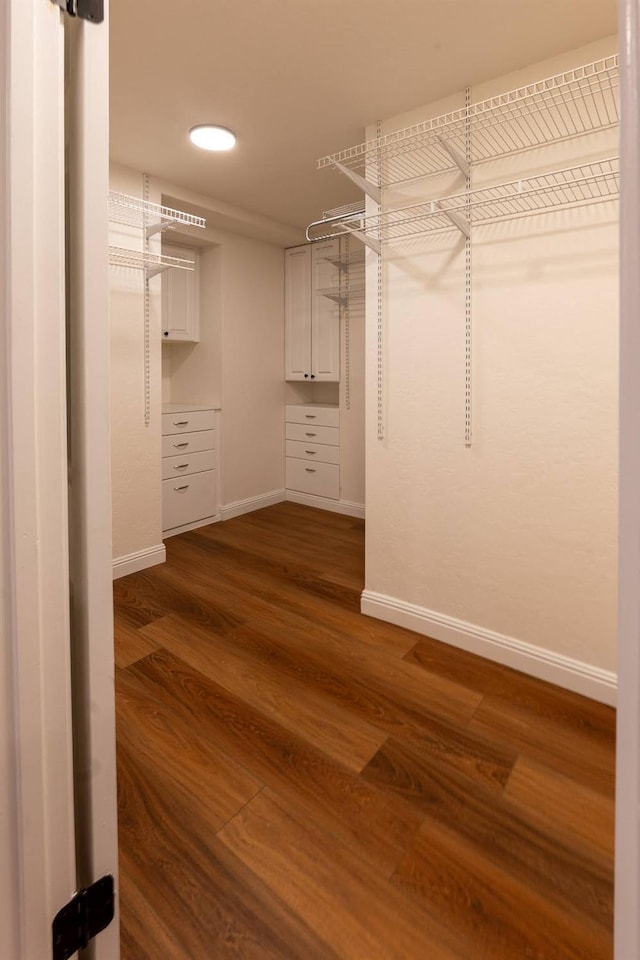 walk in closet featuring dark hardwood / wood-style flooring