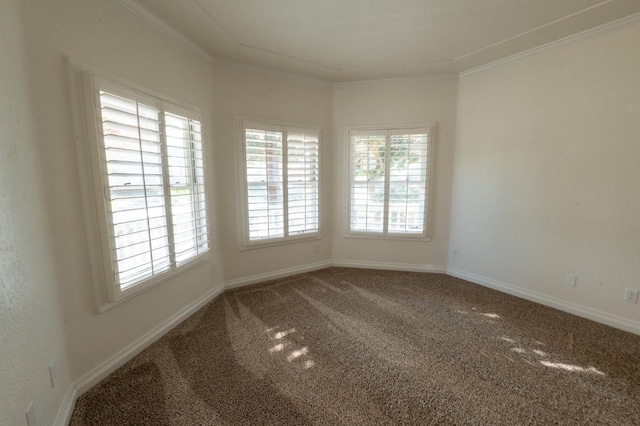 carpeted spare room featuring ornamental molding