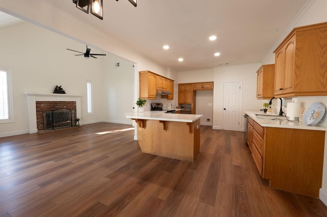 kitchen featuring appliances with stainless steel finishes, sink, dark wood-type flooring, a fireplace, and a breakfast bar area