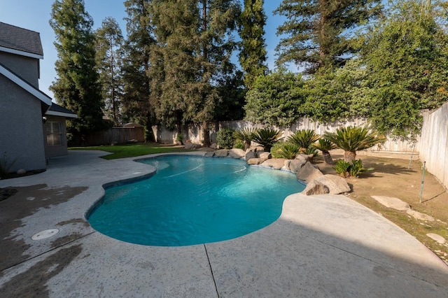 view of swimming pool featuring a patio