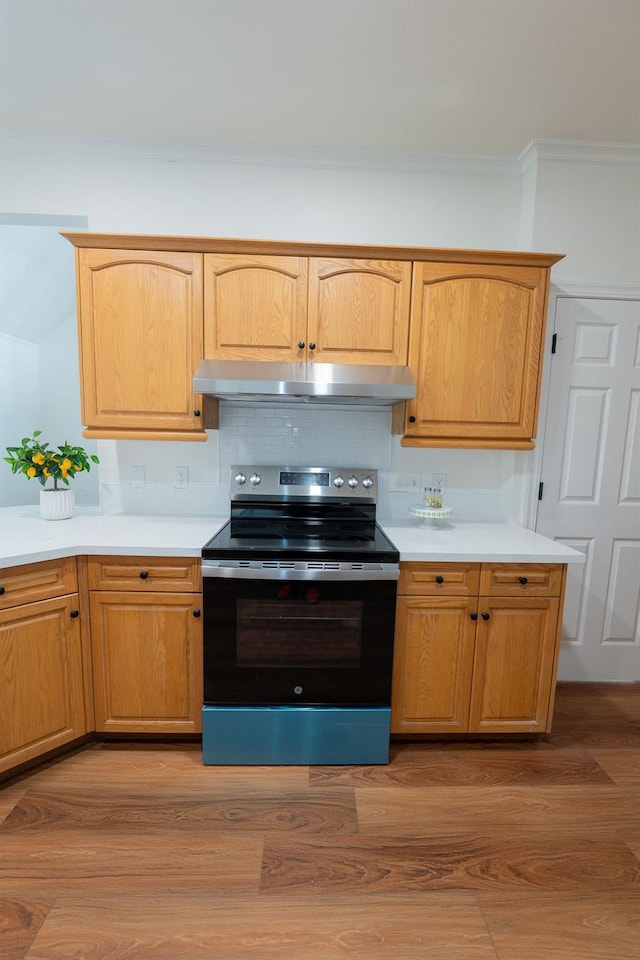 kitchen featuring ornamental molding, stainless steel range with electric cooktop, tasteful backsplash, and light hardwood / wood-style flooring