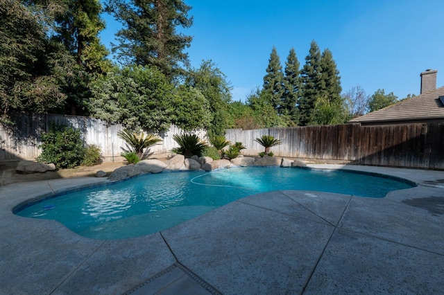 view of swimming pool with a patio