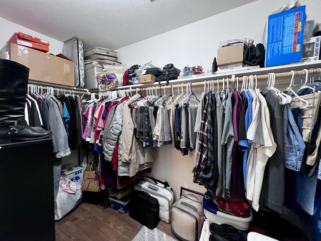 spacious closet with hardwood / wood-style flooring