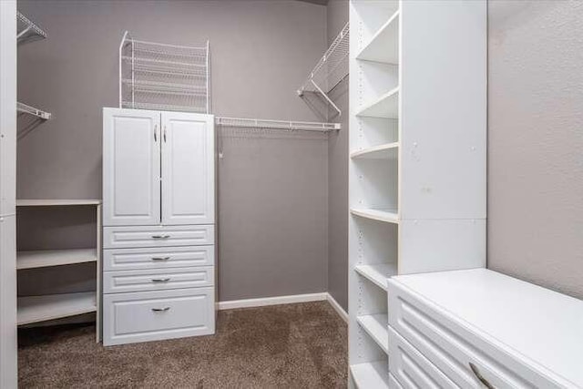 spacious closet featuring dark colored carpet