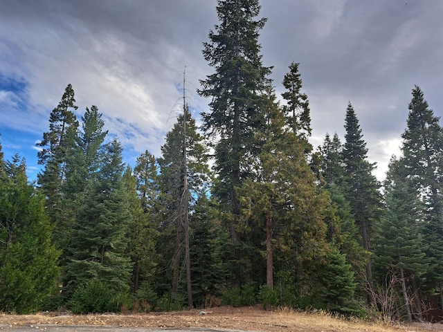 Address Not Disclosed, Shaver Lake CA, 93664 land for sale