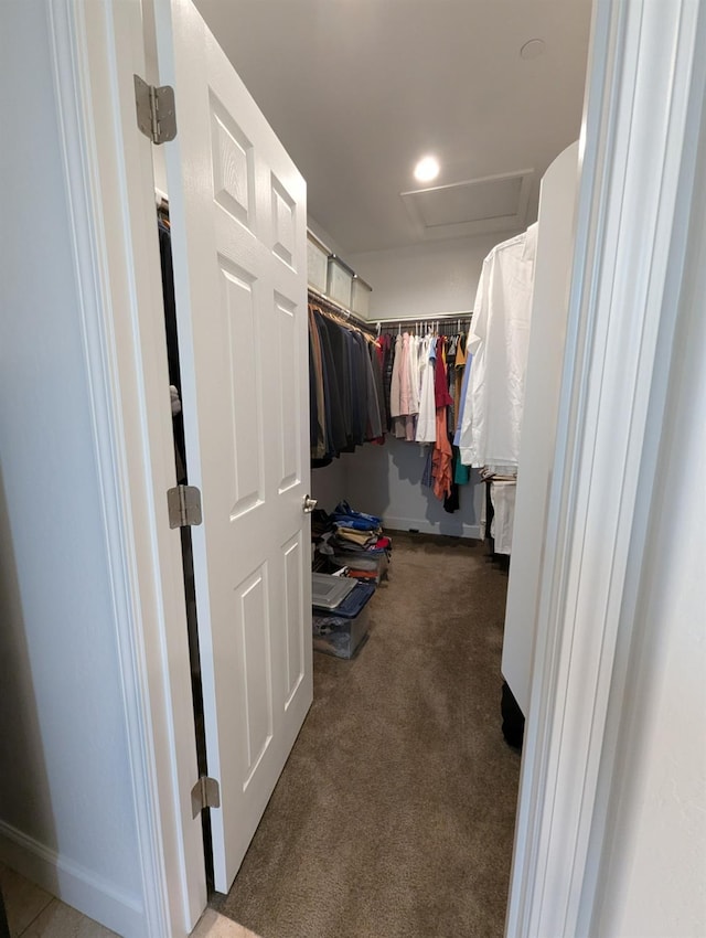 walk in closet with carpet