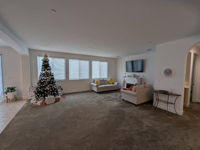 living room featuring light carpet