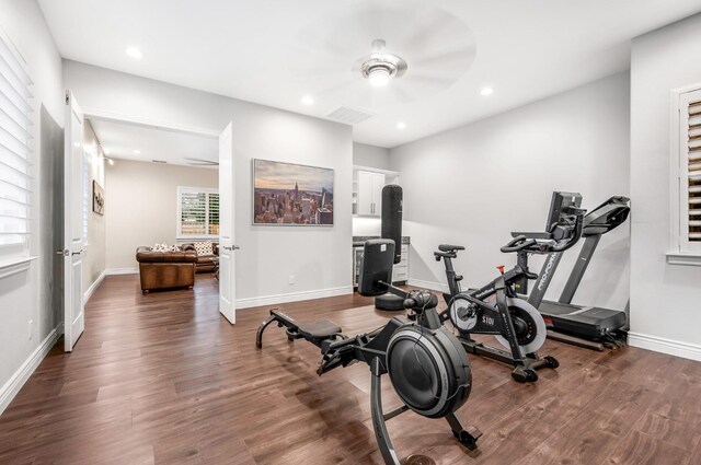 workout room featuring hardwood / wood-style flooring and ceiling fan