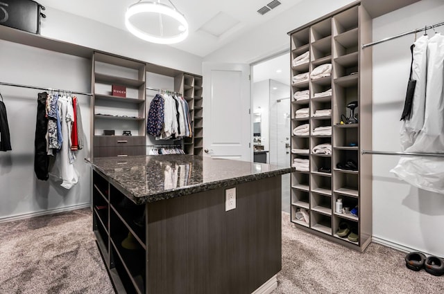 spacious closet with carpet